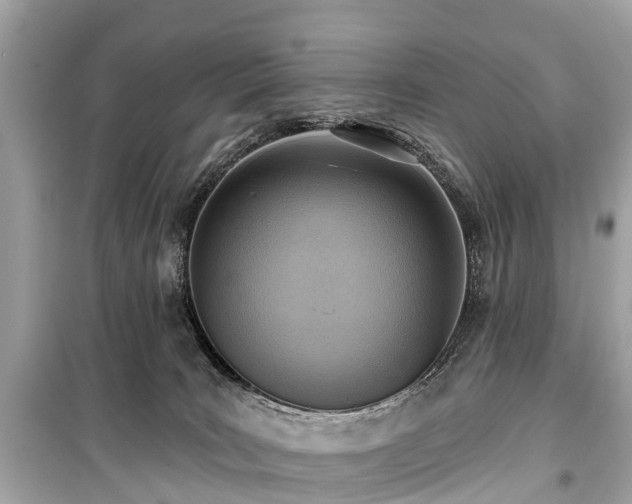 X0000099440035200805161145