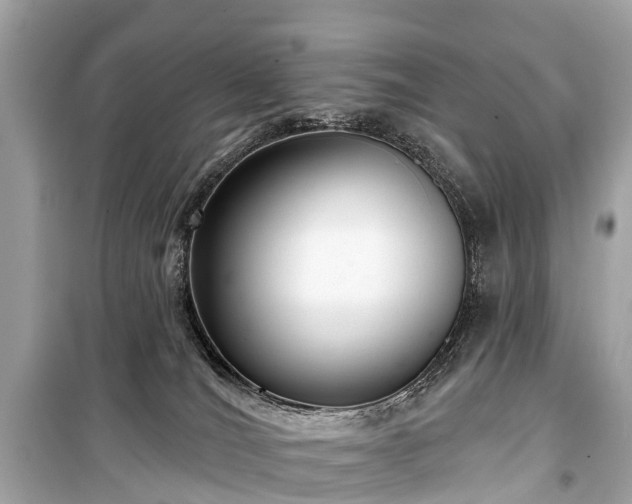 X0000099440036200805161145