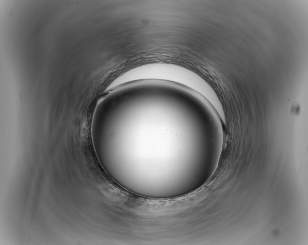 X0000099440037200805161145
