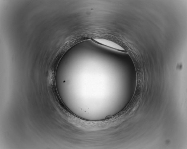X0000099440038200805161145