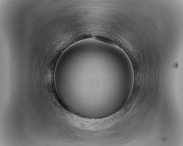 X0000099440039200805161145