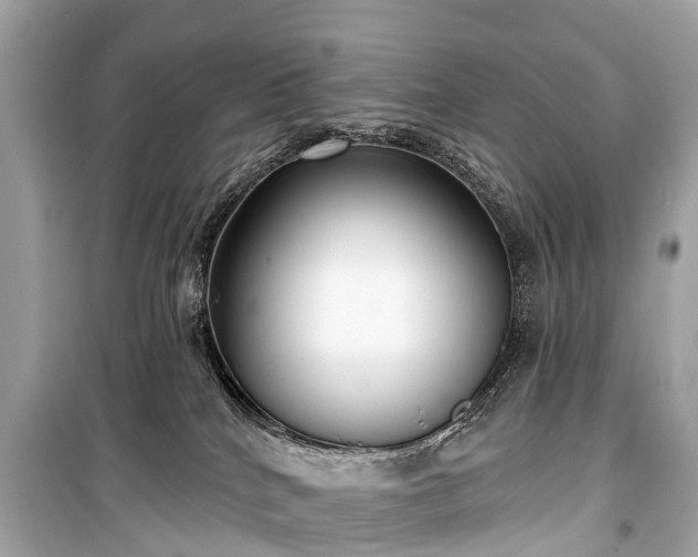 X0000099440040200805161145
