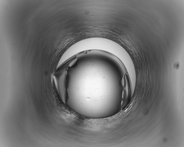 X0000099440041200805161145