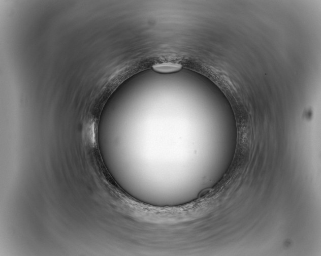 X0000099440042200805161145