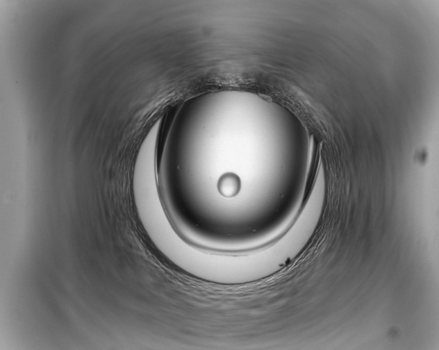 X0000099440043200805161145