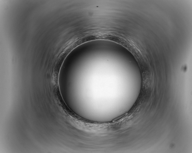X0000099440044200805161145
