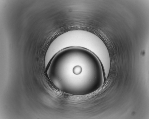 X0000099440045200805161145