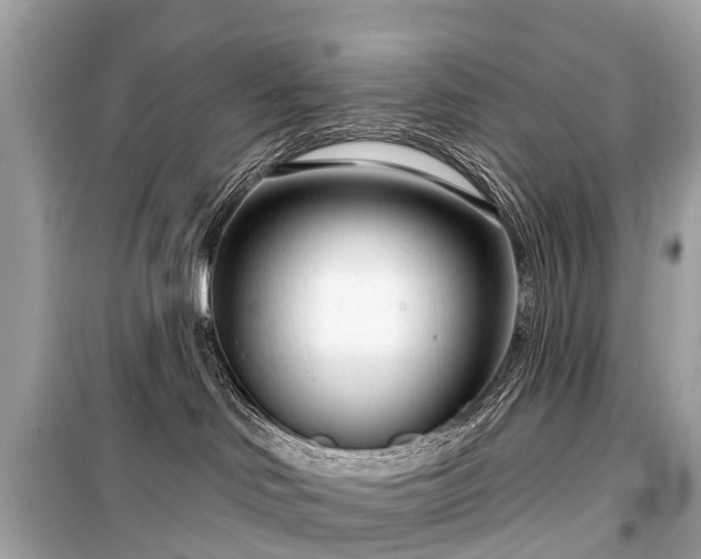 X0000099440046200805161144