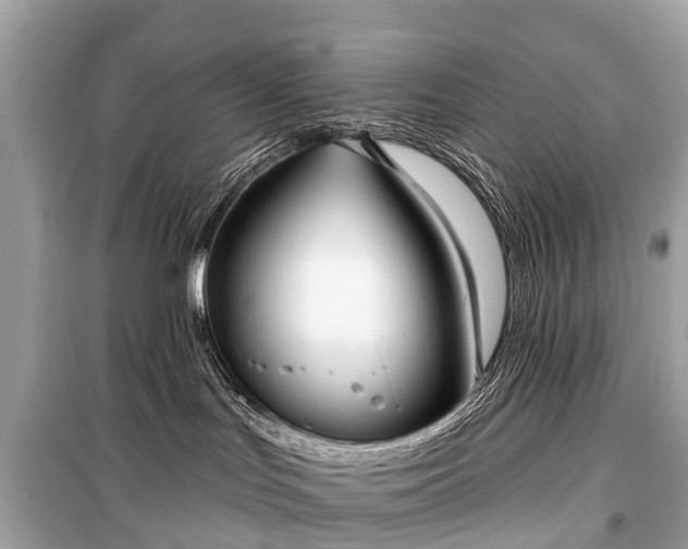 X0000099440047200805161144
