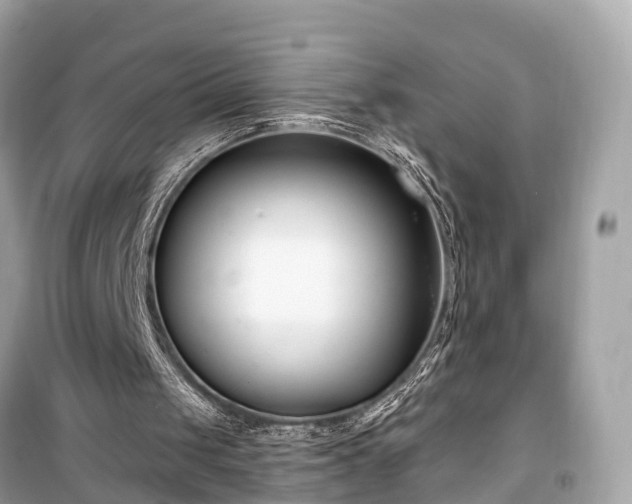 X0000099440049200805161144