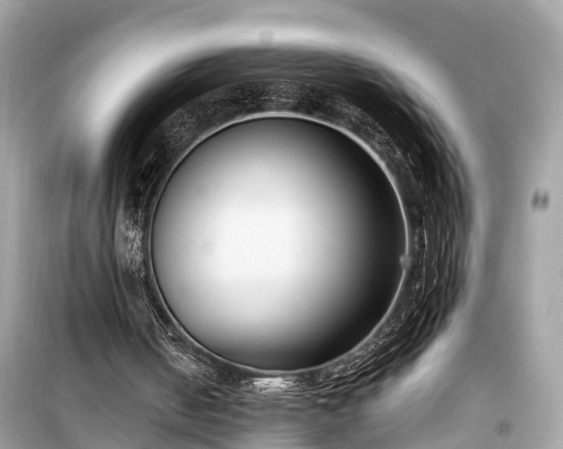 X0000099440050200805161144