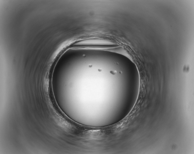 X0000099440054200805161144