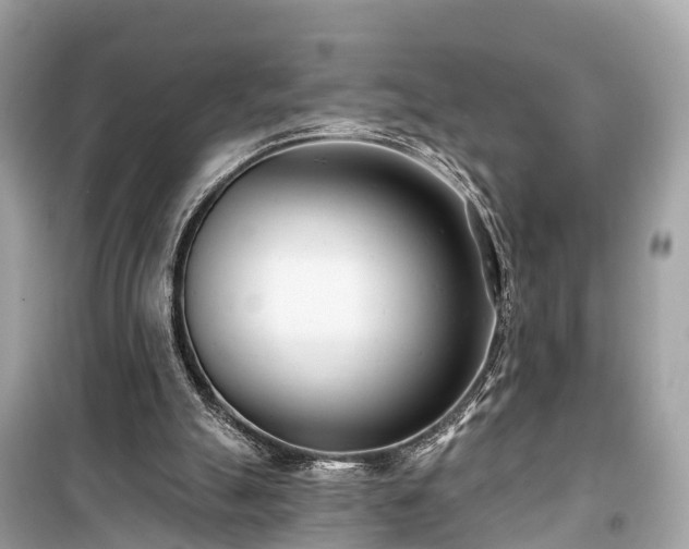 X0000099440055200805161144