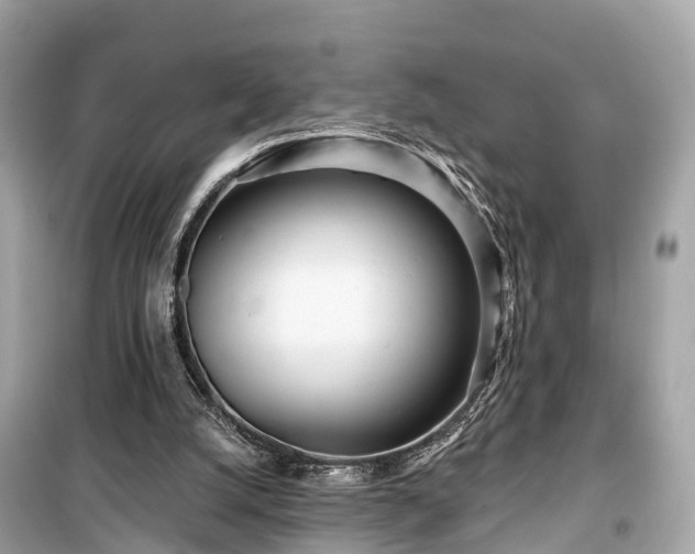 X0000099440056200805161144
