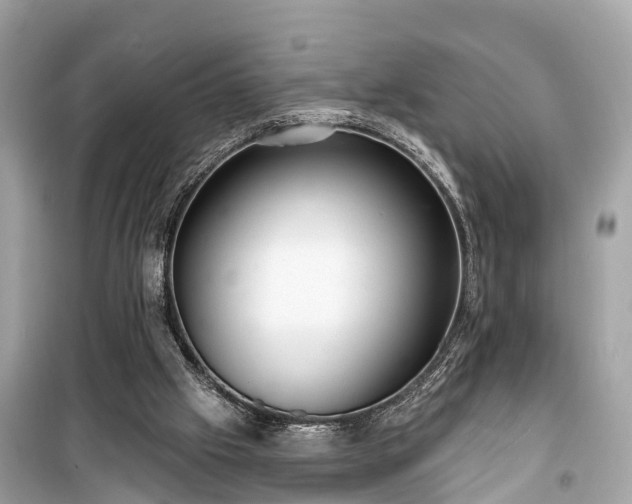 X0000099440057200805161144