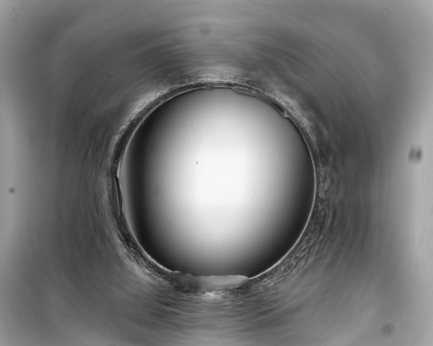 X0000099440060200805161144