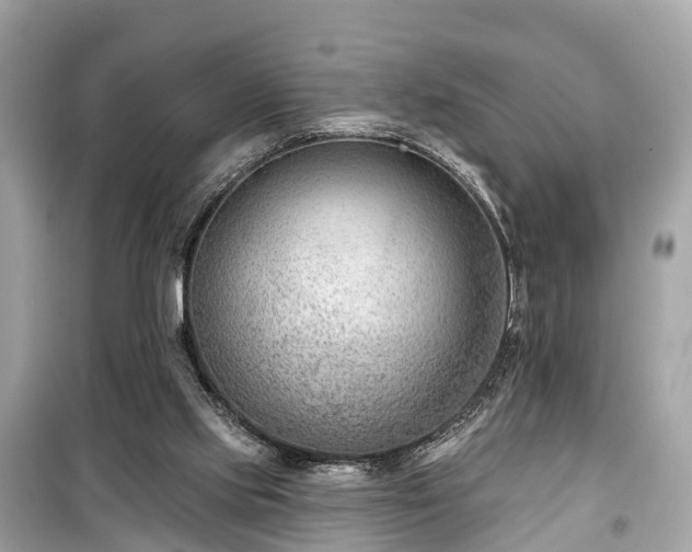 X0000099440061200805161144