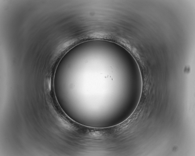 X0000099440062200805161144