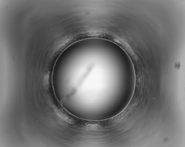 X0000099440066200805161144
