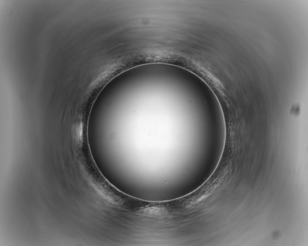 X0000099440067200805161144