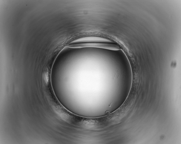 X0000099440069200805161144