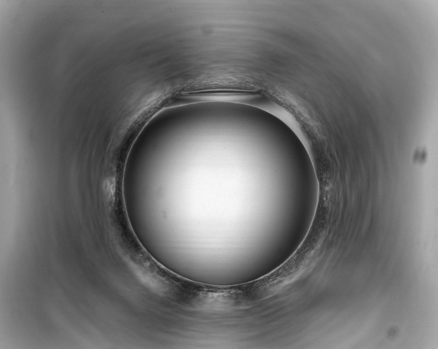 X0000099440072200805161144