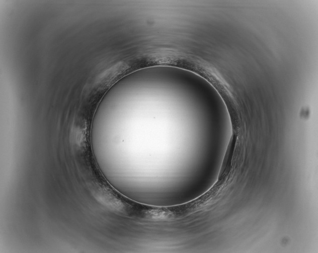 X0000099440073200805161144