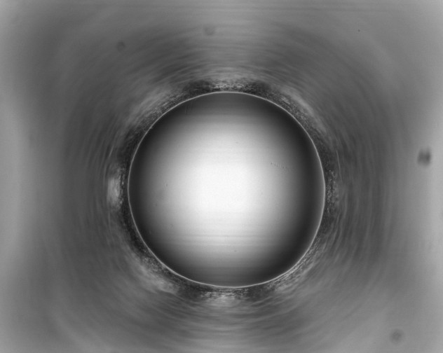 X0000099440074200805161144