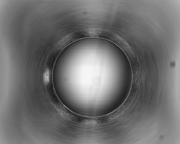 X0000099440075200805161144