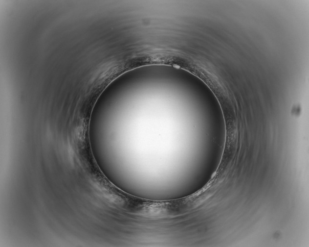 X0000099440078200805161144