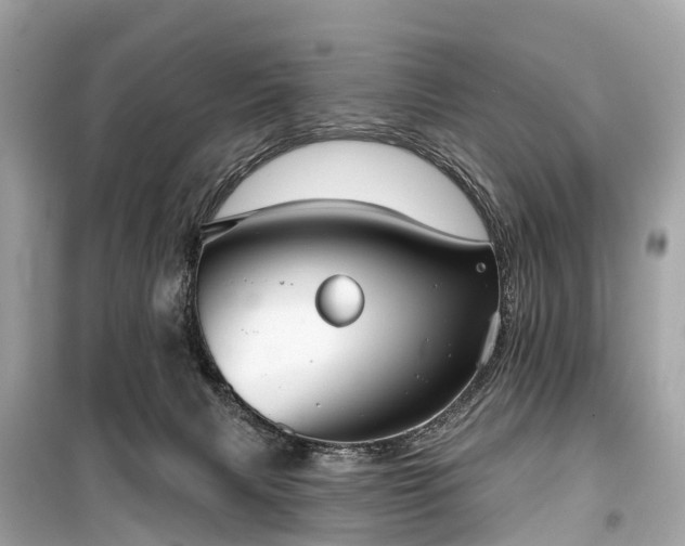 X0000099440079200805161144