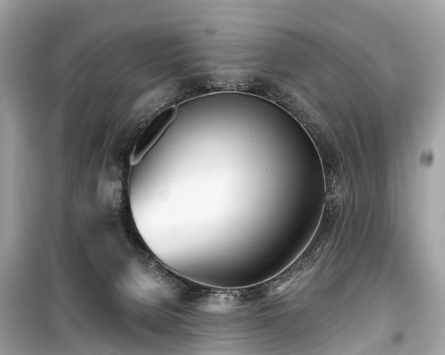X0000099440080200805161144