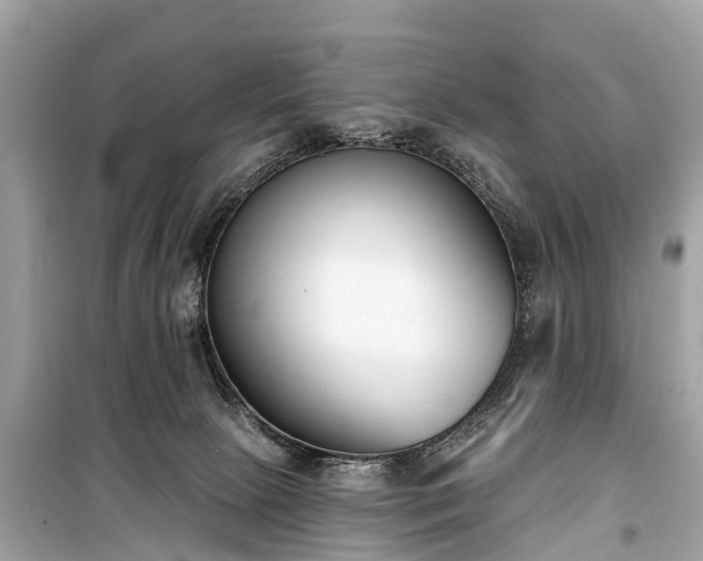 X0000099440081200805161144