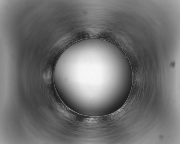 X0000099440082200805161144
