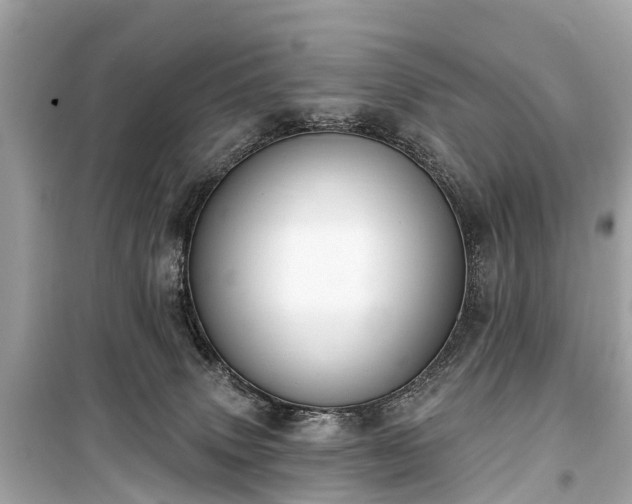 X0000099440083200805161144
