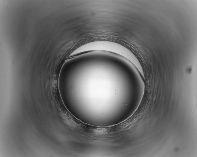 X0000099440085200805161144