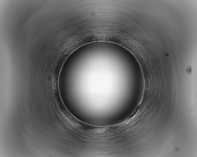 X0000099440086200805161144