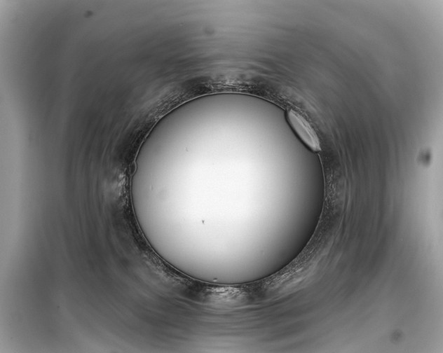 X0000099440087200805161144