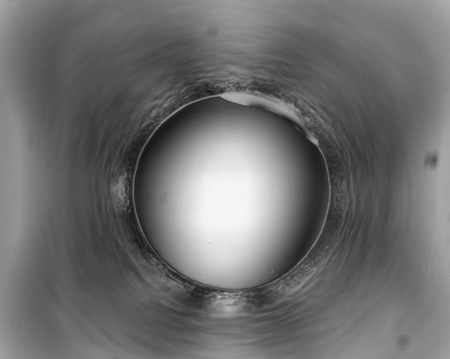X0000099440088200805161144