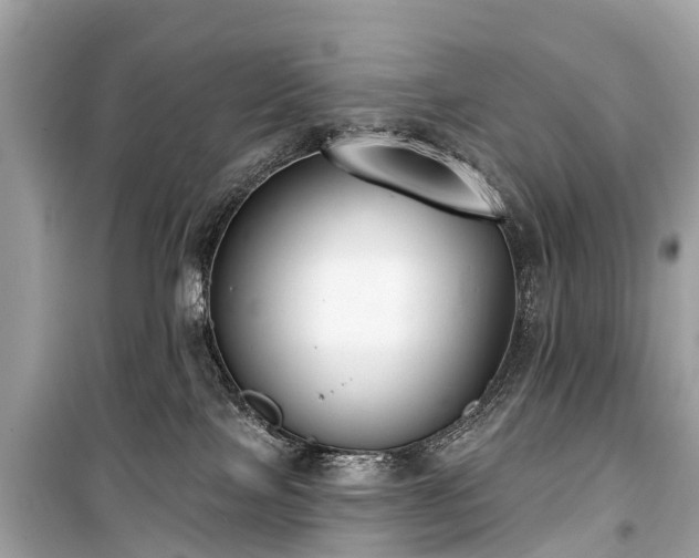 X0000099440089200805161144