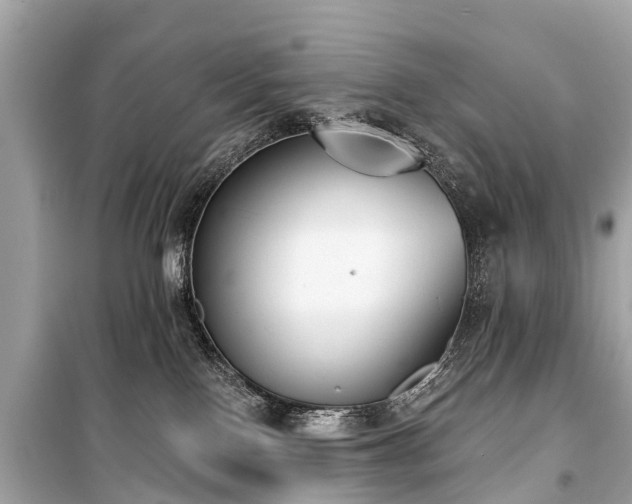 X0000099440090200805161144