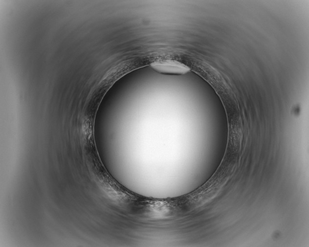 X0000099440091200805161144