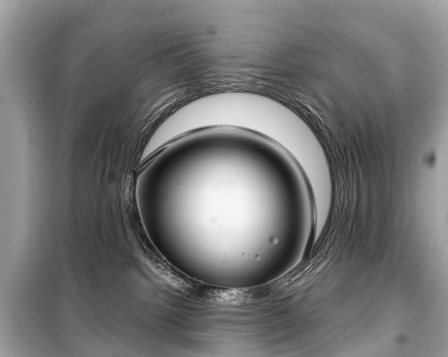 X0000099440092200805161144