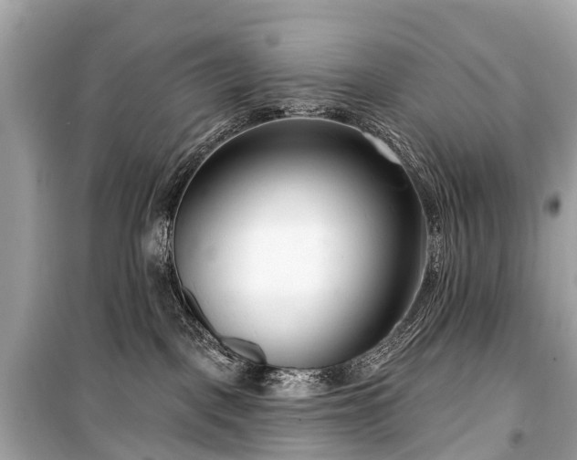 X0000099440093200805161144