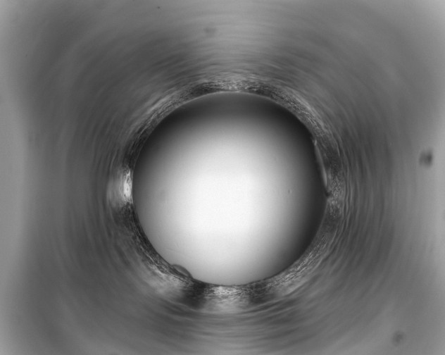 X0000099440095200805161144