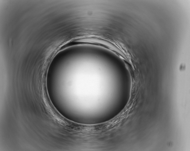 X0000099440097200805161144