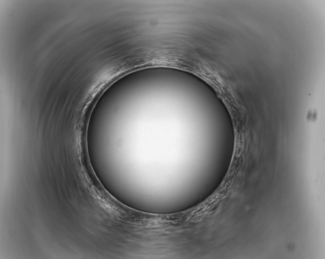 X0000099440098200805161144