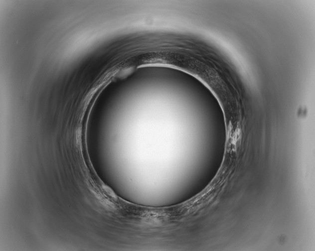 X0000099440099200805161144