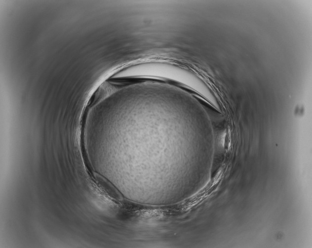 X0000099440100200805161144