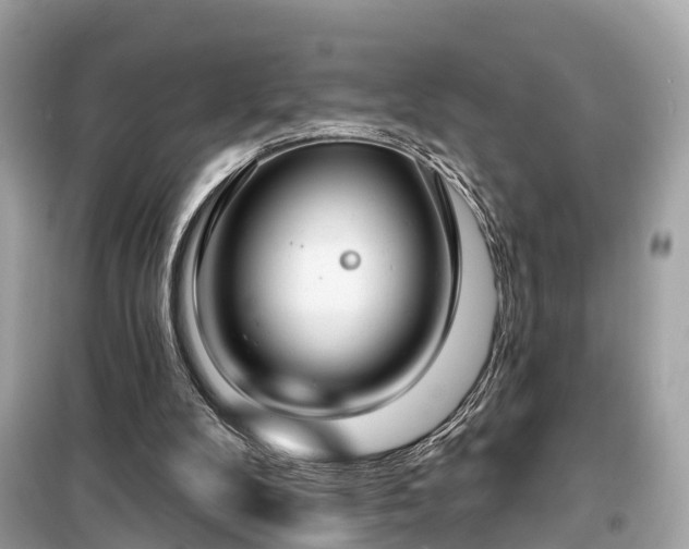 X0000099440104200805161144